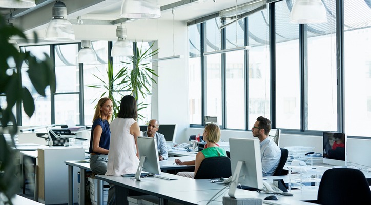 Workers in a bright, spacious office with lots of natural light and green plants